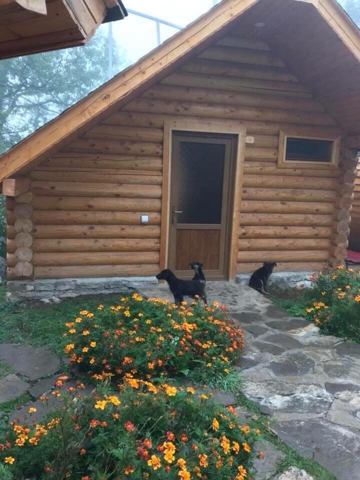 Harsnadzor Eco Resort Halidzor Eksteriør bilde
